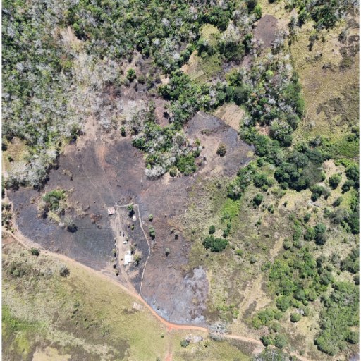 Aerial View within