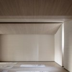 Super Rice Archite