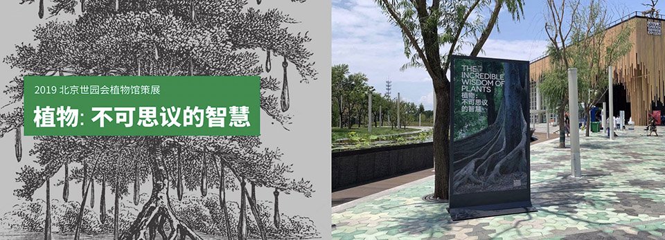 探索城市空间中的真实需求与文化价值