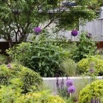 更能让景观英亚体育宣布成为皇家马德里