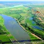 wetland and yellow