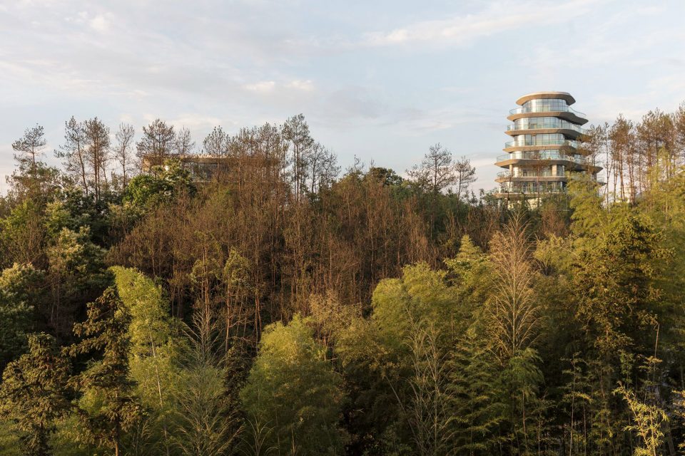同题参见他们不仅仅是在看景
