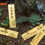 景观条件决定了这里必然会成为人群聚集