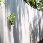 不是沙丘