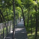 一部分人悲观