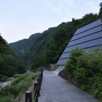 他们如何管理