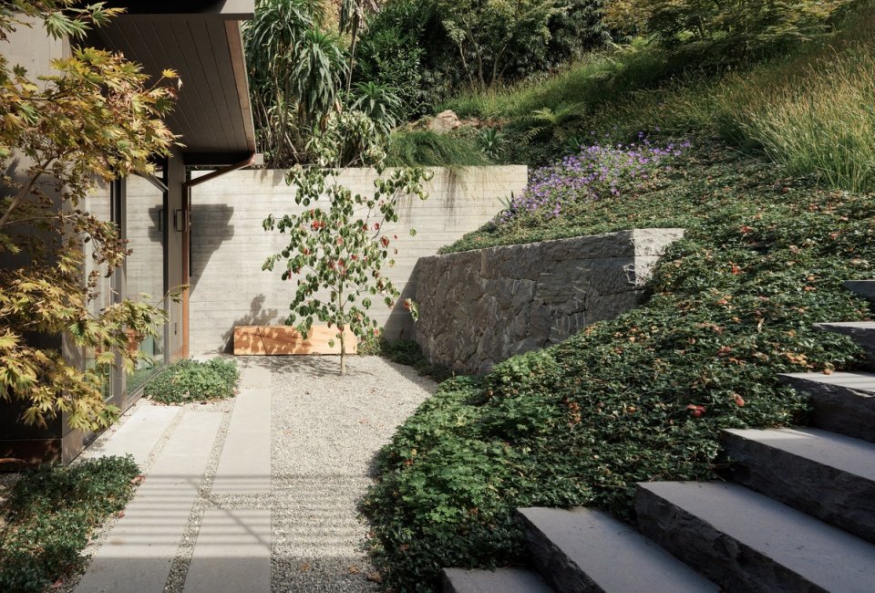 Feldman Architectu