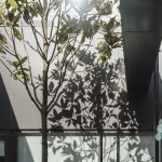 allowing the rooms