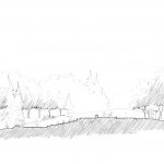 trees
