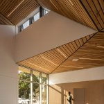 非常感谢 ADHOC archite