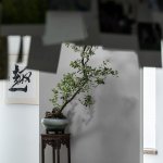 将阳光与绿植最大限度地引入室内