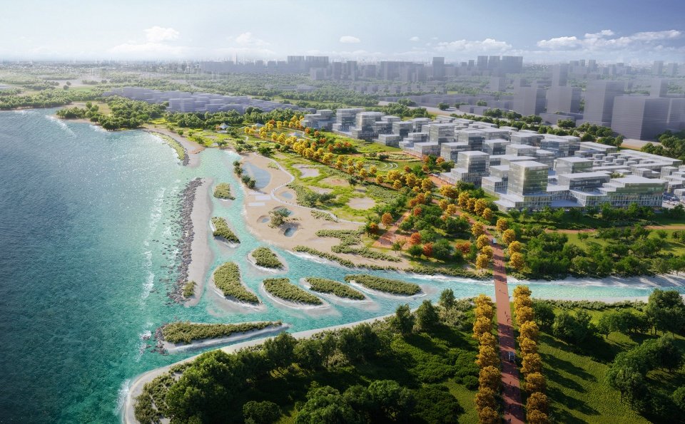本地政府正在积极为这一片区的海岸线发