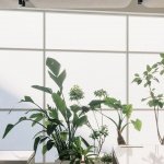 最新工作+ 提交新工作所有工作 »