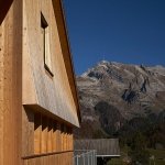 建造一座几乎完全木造的住宅意味着什么