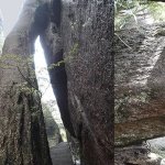 还有不少或石或砖的民居栖息其间