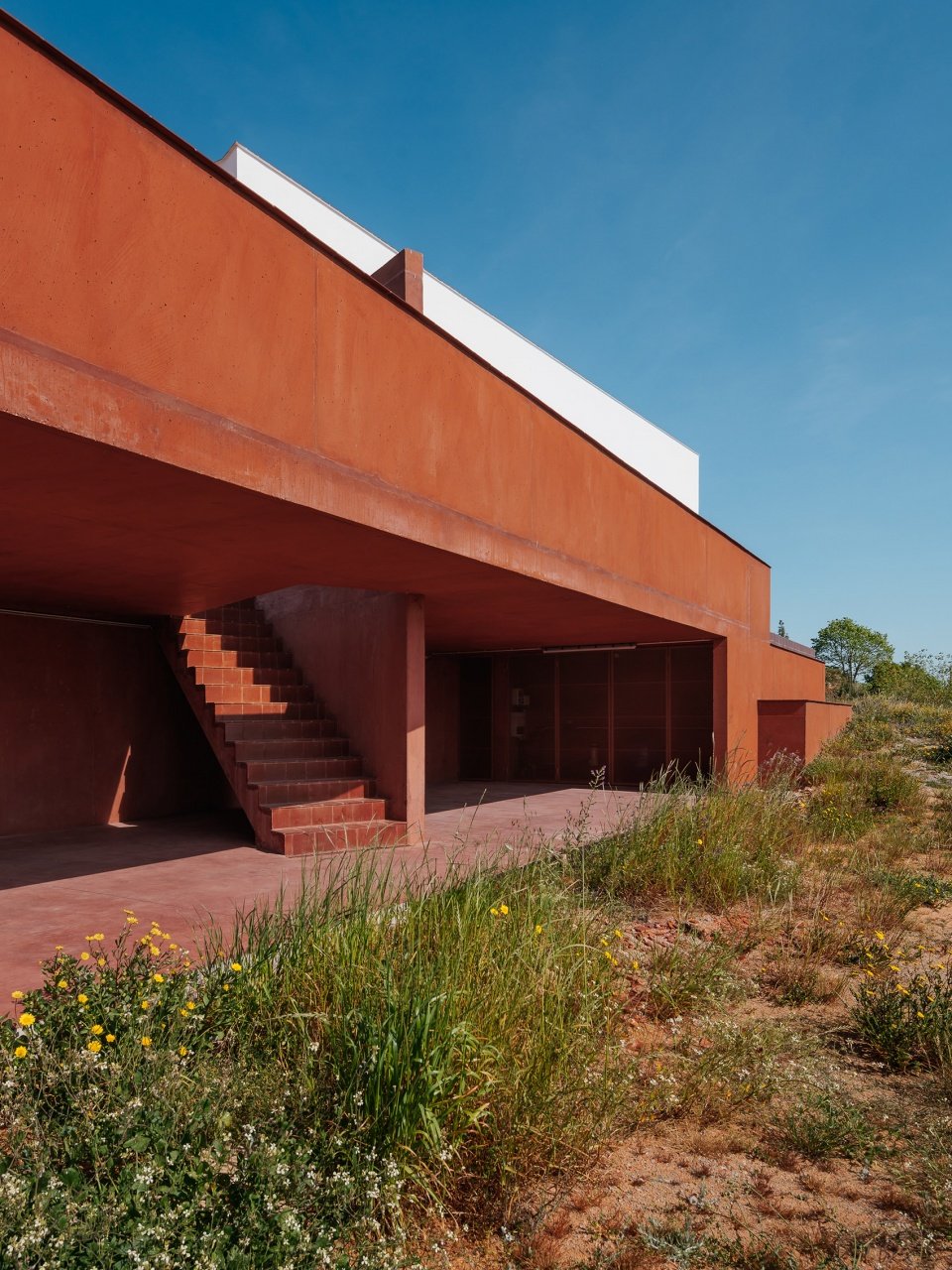 A house with roof