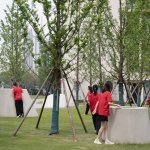 花木也无声地滋养着书院