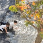 书院宛如一座具备公共属性的文人园林