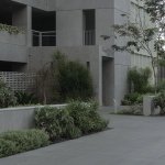 呈细长条形分布