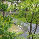 在古人“天人合一”的思想浸润下