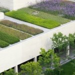 位于苏州北部相城区的苏州山峰双语学校