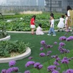 就是讲述中国古代教育涉及教学和生活