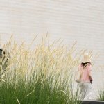 是中国传统文化艺术的瑰宝