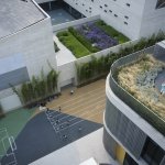bird view of the s