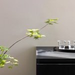 英亚体育最新资讯手机版登录