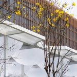 英亚体育最新资讯官方网站本身是一种容