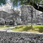 在“绿毯公园”的项目实践中