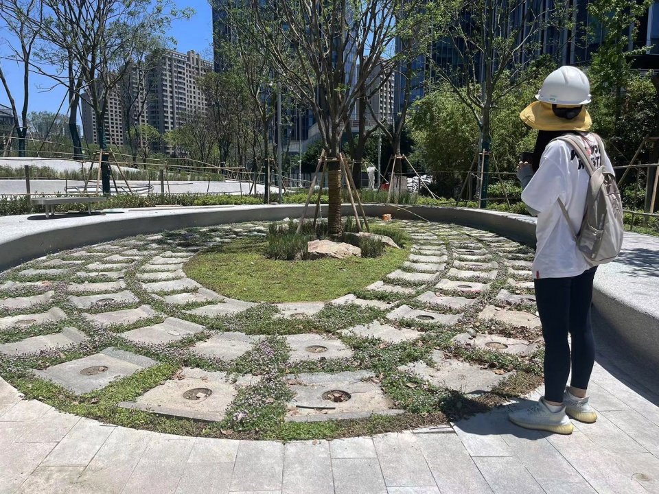 也有理性的分析与思辨