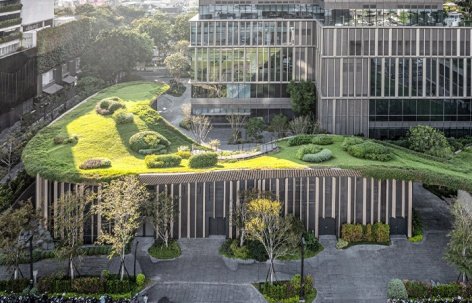 A garden-like muse