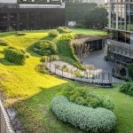 感谢 隈研吾英亚体育最新资讯最新活动