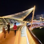 with its sinuous c