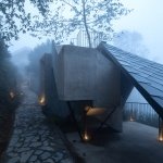 自上世纪50年代从原始森林中栽植而出