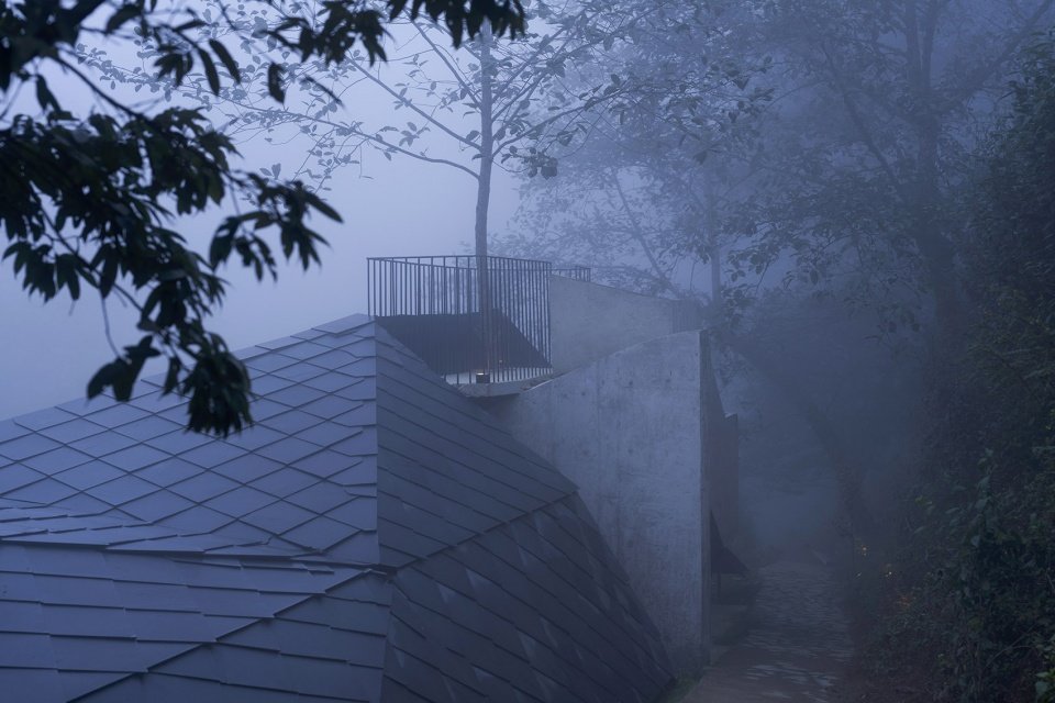 300-acre tea plant