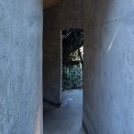 在这无量山苍翠褶皱间