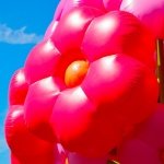 A Celebration of M
