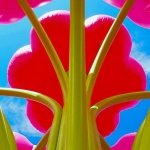 在2025年科切拉山谷音乐与艺术节（