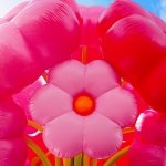 光影绽放