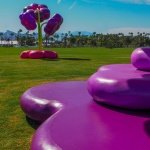 For The Coachella 