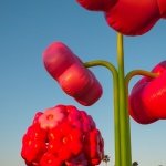 此次艺术计划由PAC策展人拉菲·莱勒