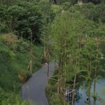 坚守住了城市与自然的动态平衡