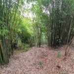 Green Field Park e
