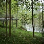 An Ecological Wild