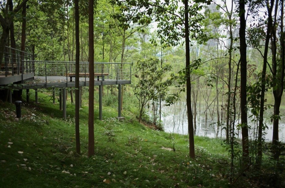 成为具有遗留原始植被特征的自然山野空