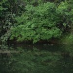坐落于城市山野浅丘地貌的麓野公园