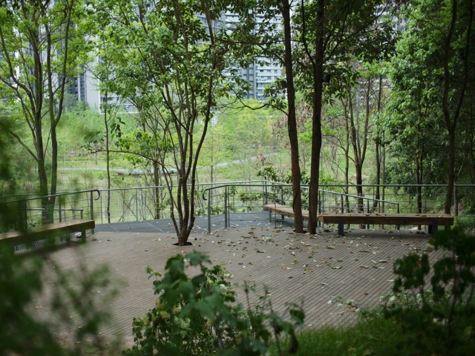 Green Field Park i