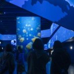 海洋是本次展馆叙事的核心线索